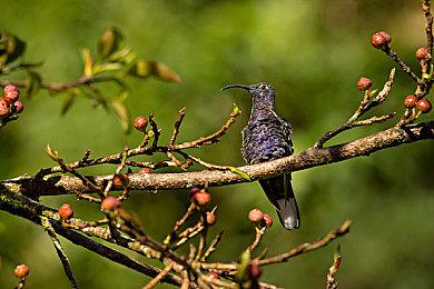 动作FPS《Neon White》Xbox版成就泄露 或即将发售