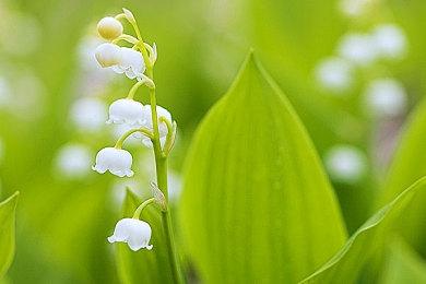 《光环：无限》多人模式已面向Xbox＆PC开启